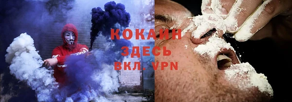 ПСИЛОЦИБИНОВЫЕ ГРИБЫ Инсар