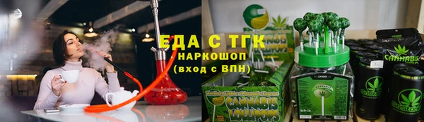 гидра Инта