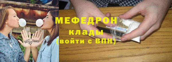 гидра Инта