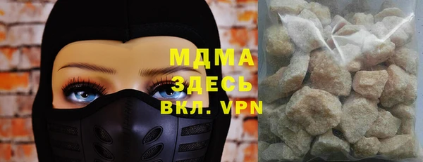 гидра Инта