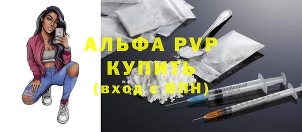 гидра Инта