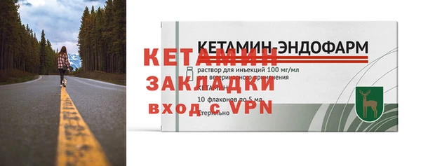 гидра Инта