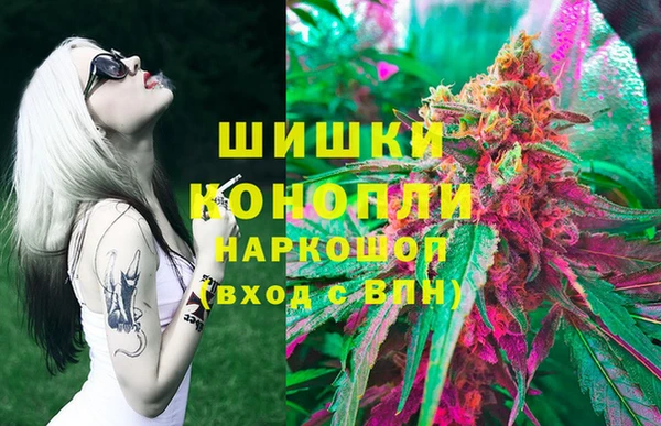 гидра Инта