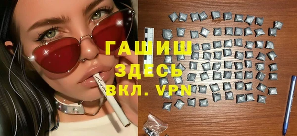 гидра Инта
