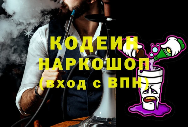 гидра Инта
