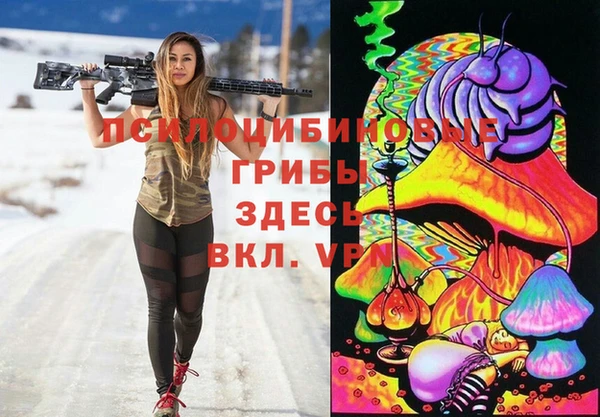 ПСИЛОЦИБИНОВЫЕ ГРИБЫ Инсар