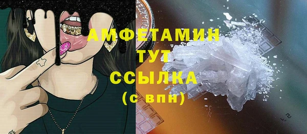 гидра Инта