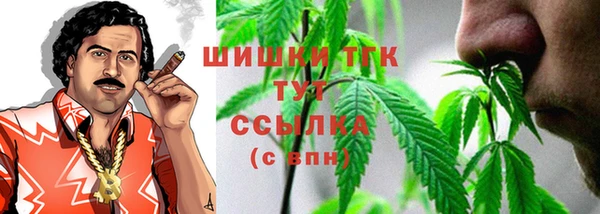 ПСИЛОЦИБИНОВЫЕ ГРИБЫ Инсар