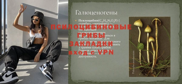 гидра Инта