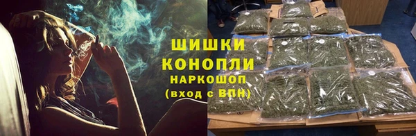 гидра Инта
