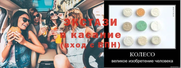 гидра Инта