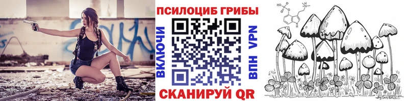 купить  цена  Пудож  Псилоцибиновые грибы Magic Shrooms 