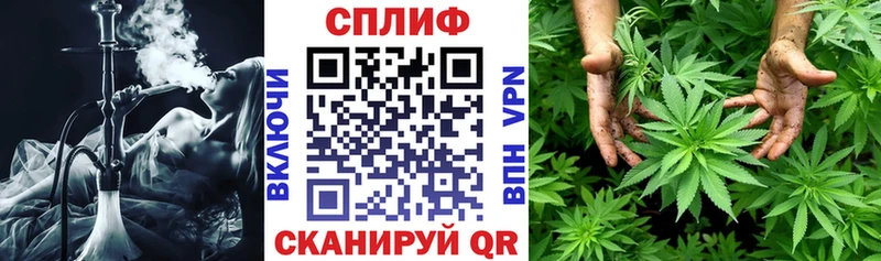 Бошки Шишки гибрид  Пудож 